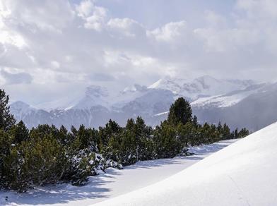 A winter landscape
